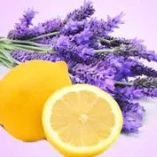Bar Soap, Aromatherapy, Shea Butter, Handmade